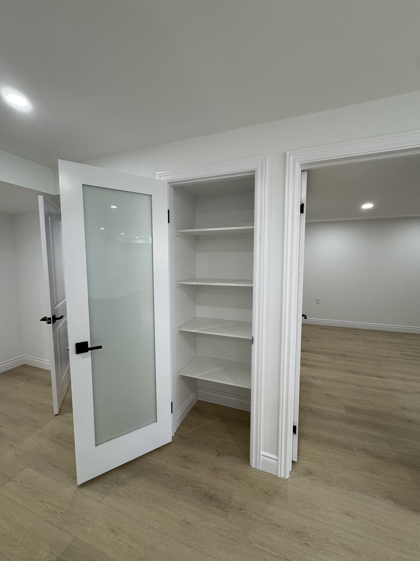 Built-in shelving behind a frosted glass door in a finished basement