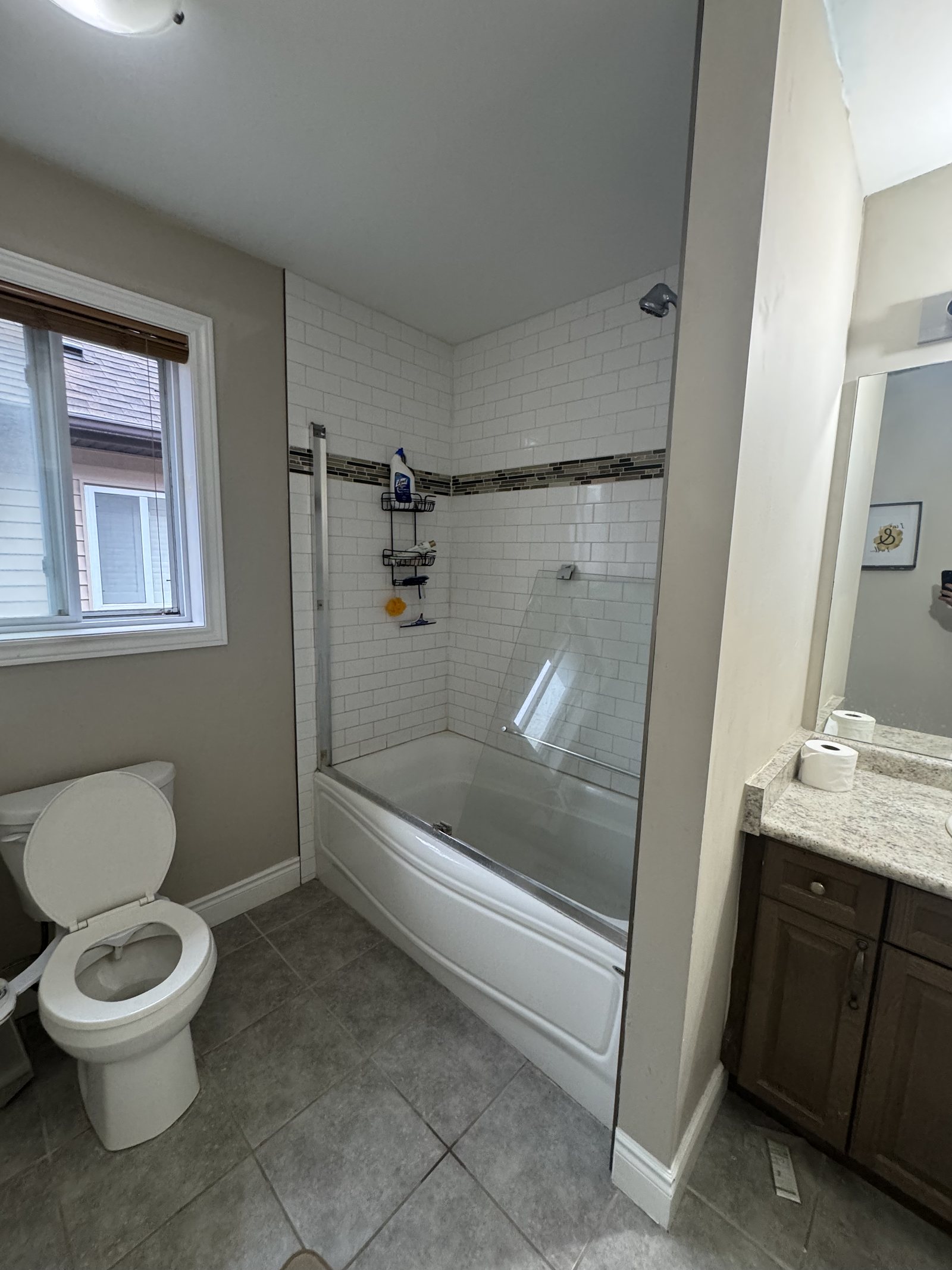 Bathroom before renovation: beige walls, dated tub-shower and a dark wood vanity